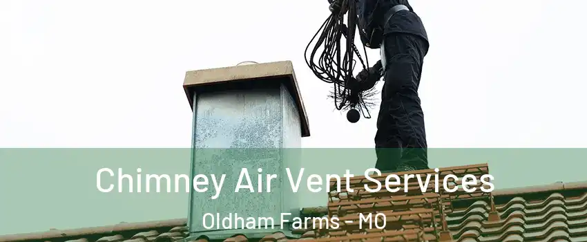 Chimney Air Vent Services Oldham Farms - MO