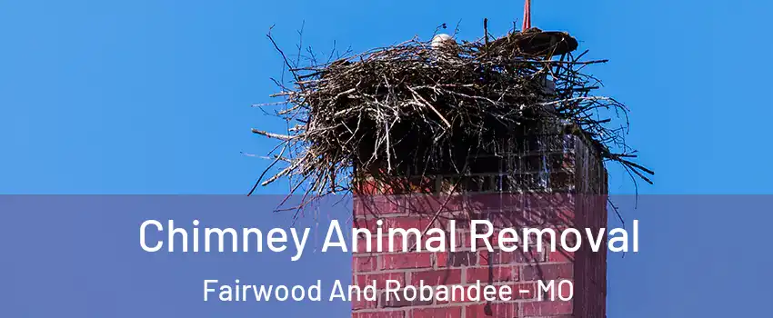 Chimney Animal Removal Fairwood And Robandee - MO