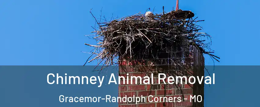 Chimney Animal Removal Gracemor-Randolph Corners - MO