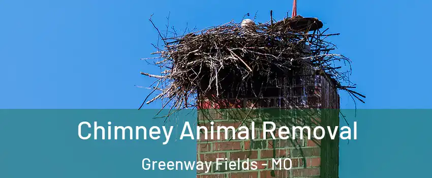 Chimney Animal Removal Greenway Fields - MO