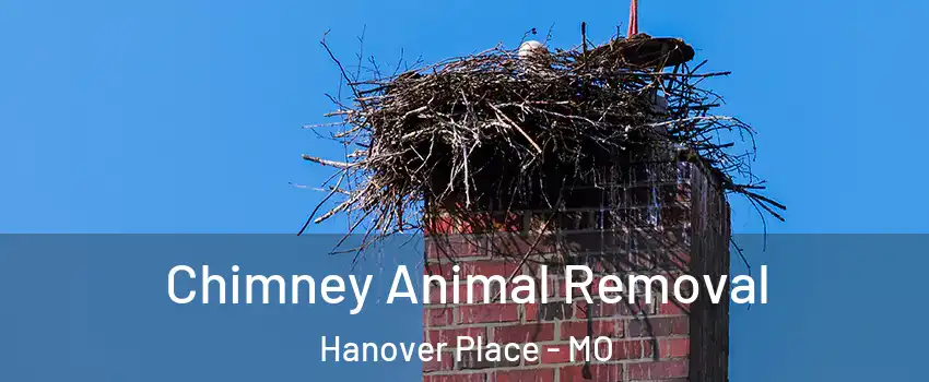 Chimney Animal Removal Hanover Place - MO