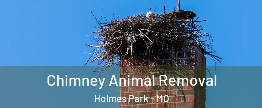 Chimney Animal Removal Holmes Park - MO