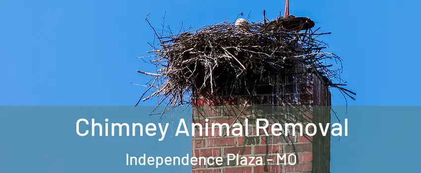 Chimney Animal Removal Independence Plaza - MO