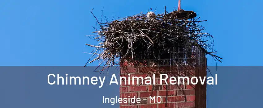 Chimney Animal Removal Ingleside - MO