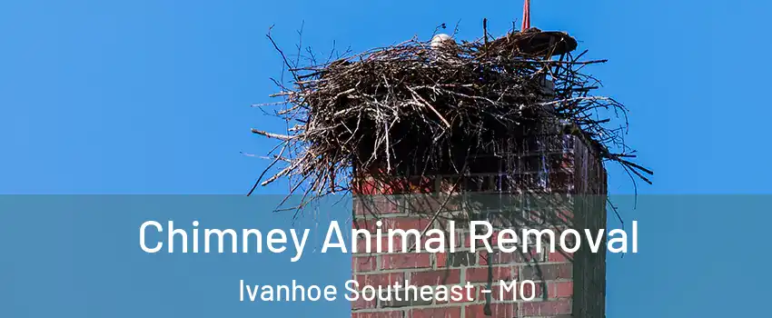 Chimney Animal Removal Ivanhoe Southeast - MO