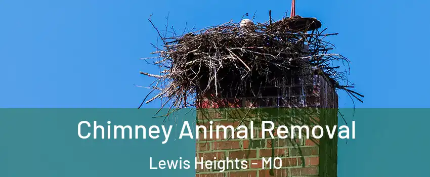 Chimney Animal Removal Lewis Heights - MO