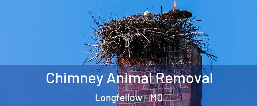 Chimney Animal Removal Longfellow - MO