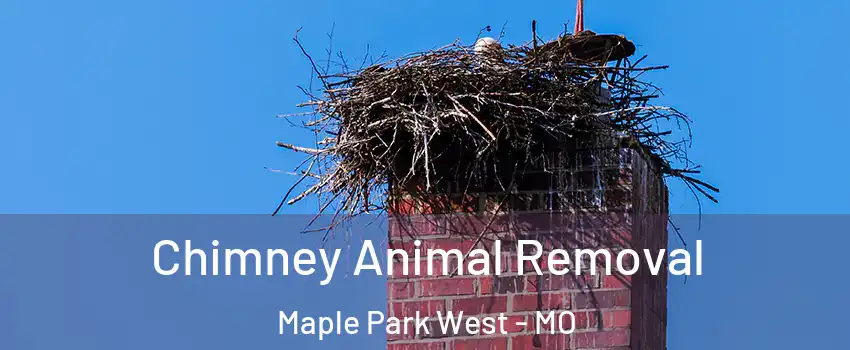 Chimney Animal Removal Maple Park West - MO