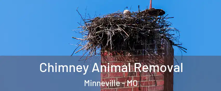 Chimney Animal Removal Minneville - MO