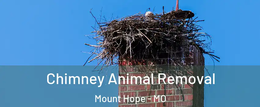 Chimney Animal Removal Mount Hope - MO