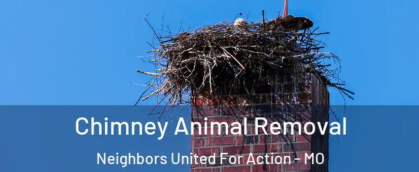 Chimney Animal Removal Neighbors United For Action - MO