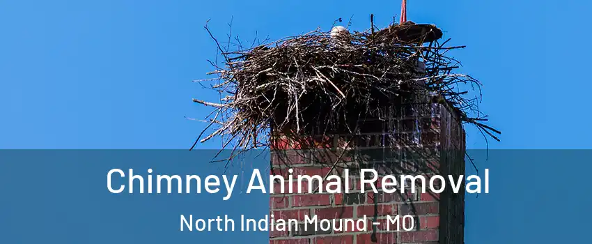 Chimney Animal Removal North Indian Mound - MO