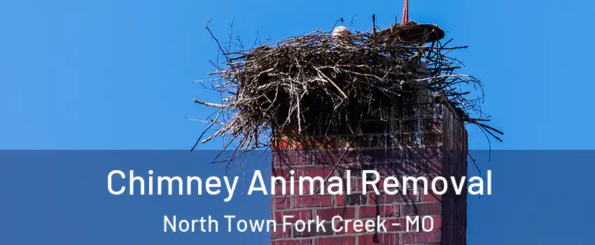 Chimney Animal Removal North Town Fork Creek - MO