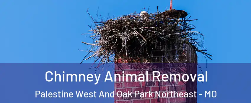 Chimney Animal Removal Palestine West And Oak Park Northeast - MO