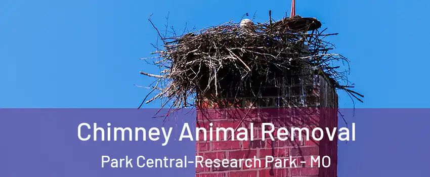 Chimney Animal Removal Park Central-Research Park - MO