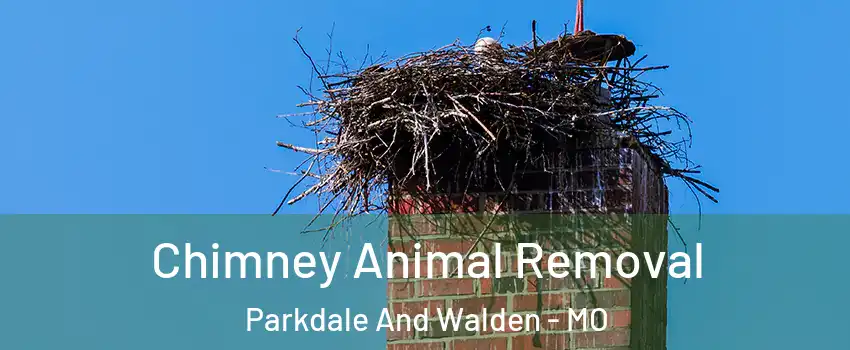 Chimney Animal Removal Parkdale And Walden - MO