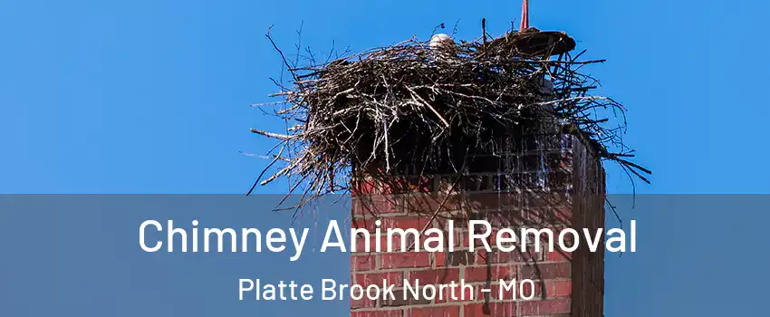 Chimney Animal Removal Platte Brook North - MO