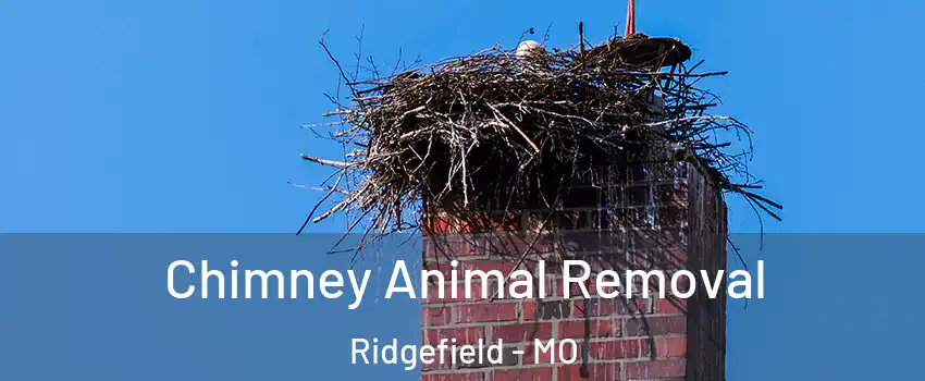 Chimney Animal Removal Ridgefield - MO