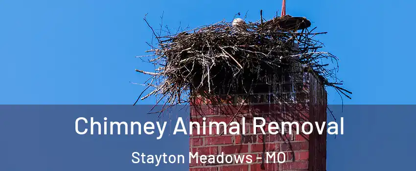 Chimney Animal Removal Stayton Meadows - MO