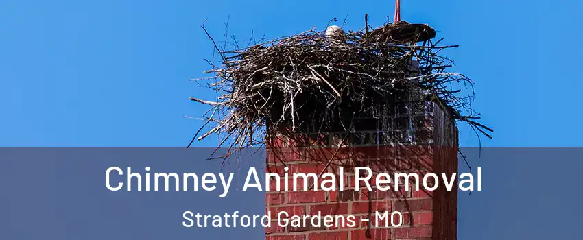 Chimney Animal Removal Stratford Gardens - MO