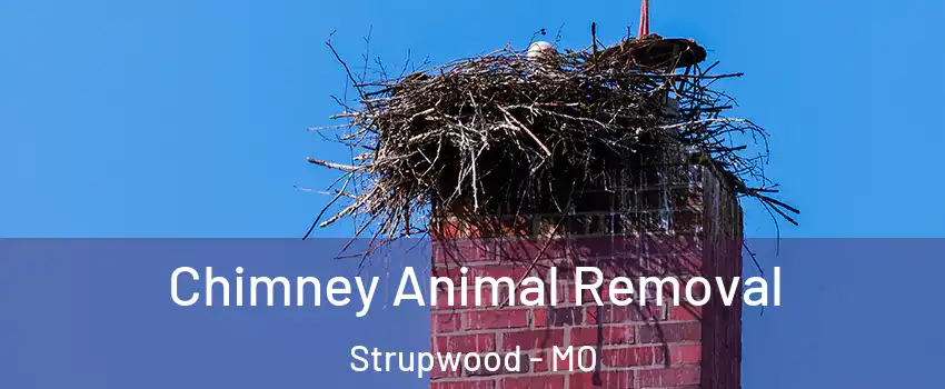 Chimney Animal Removal Strupwood - MO