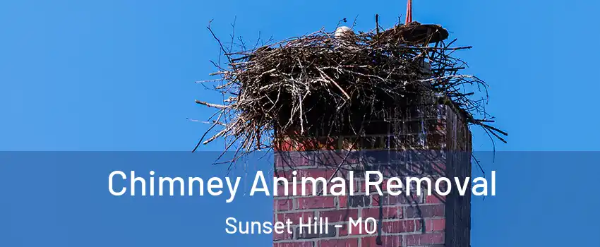 Chimney Animal Removal Sunset Hill - MO