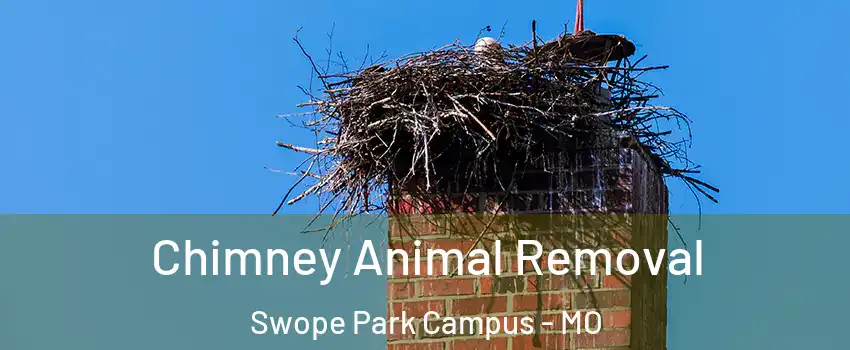 Chimney Animal Removal Swope Park Campus - MO