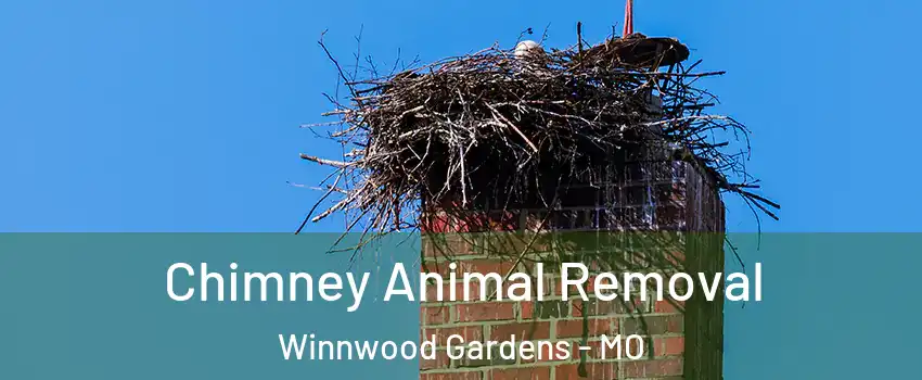 Chimney Animal Removal Winnwood Gardens - MO