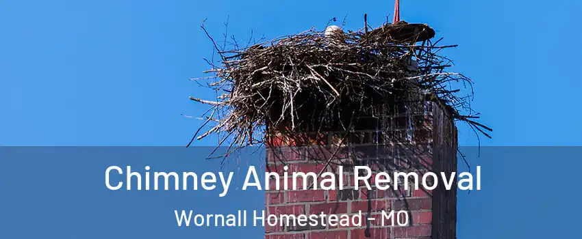 Chimney Animal Removal Wornall Homestead - MO