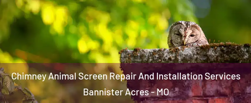 Chimney Animal Screen Repair And Installation Services Bannister Acres - MO