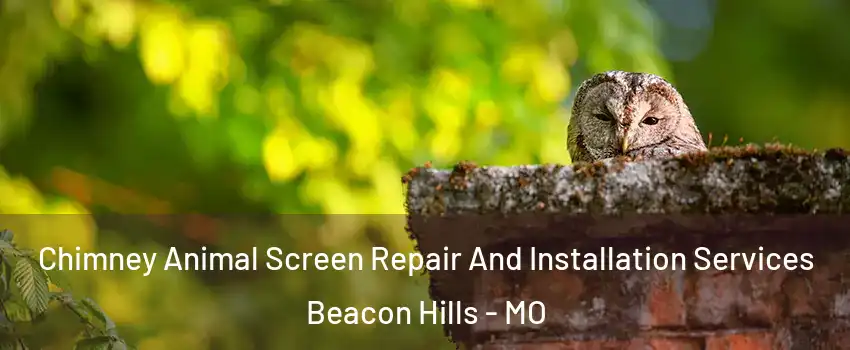 Chimney Animal Screen Repair And Installation Services Beacon Hills - MO