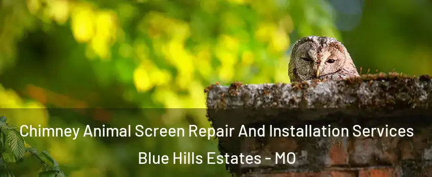 Chimney Animal Screen Repair And Installation Services Blue Hills Estates - MO