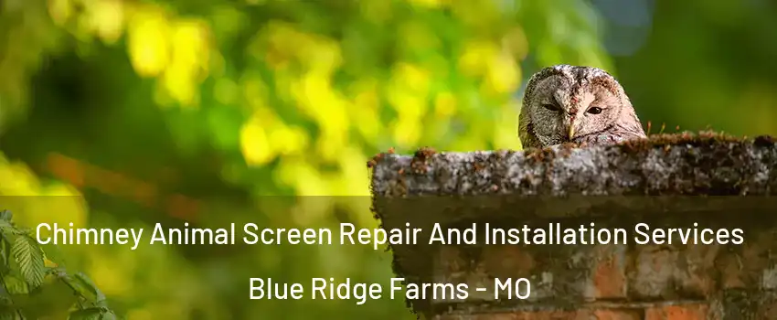 Chimney Animal Screen Repair And Installation Services Blue Ridge Farms - MO