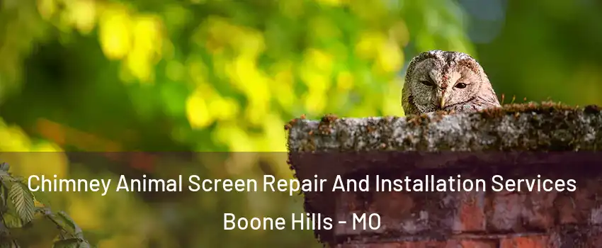 Chimney Animal Screen Repair And Installation Services Boone Hills - MO