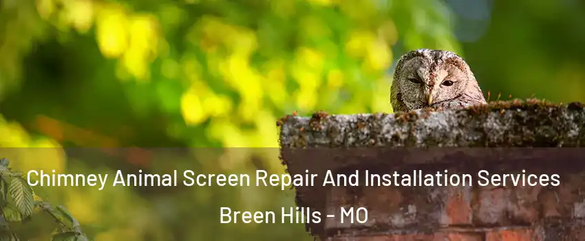 Chimney Animal Screen Repair And Installation Services Breen Hills - MO