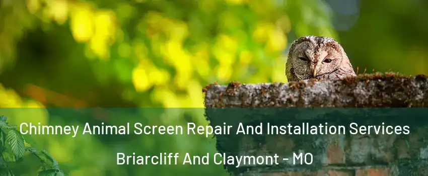 Chimney Animal Screen Repair And Installation Services Briarcliff And Claymont - MO