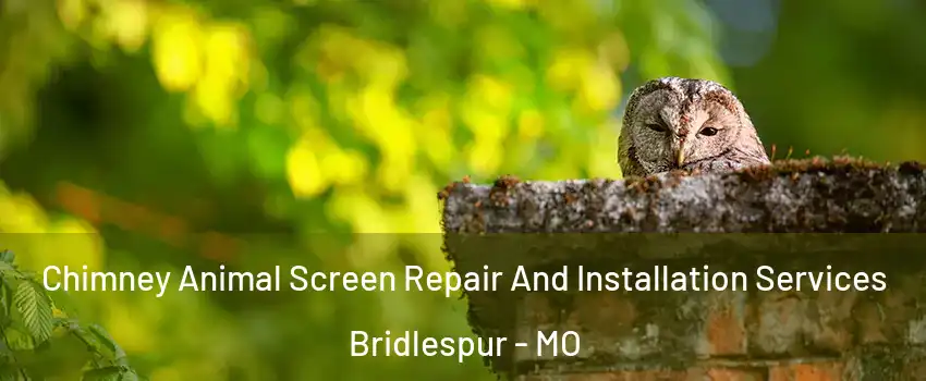 Chimney Animal Screen Repair And Installation Services Bridlespur - MO