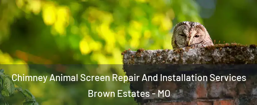 Chimney Animal Screen Repair And Installation Services Brown Estates - MO