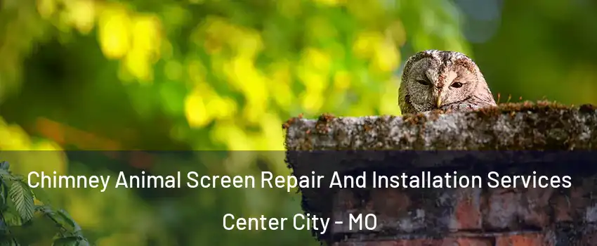 Chimney Animal Screen Repair And Installation Services Center City - MO