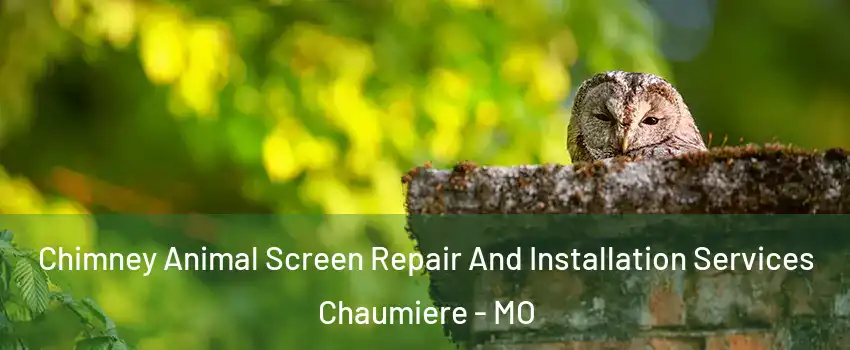 Chimney Animal Screen Repair And Installation Services Chaumiere - MO