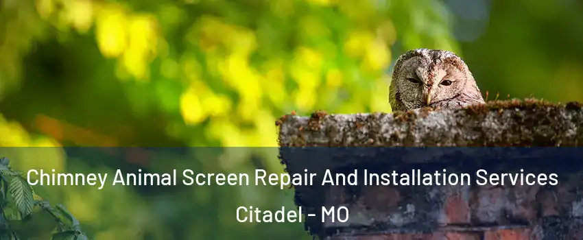 Chimney Animal Screen Repair And Installation Services Citadel - MO