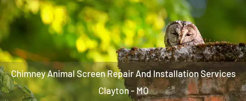 Chimney Animal Screen Repair And Installation Services Clayton - MO