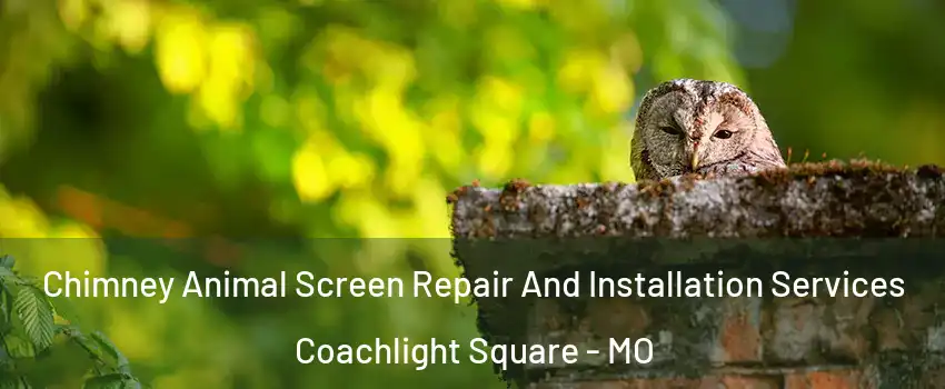 Chimney Animal Screen Repair And Installation Services Coachlight Square - MO