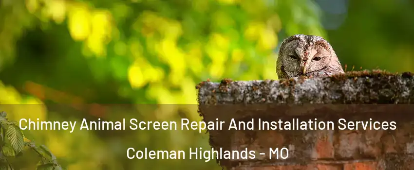 Chimney Animal Screen Repair And Installation Services Coleman Highlands - MO