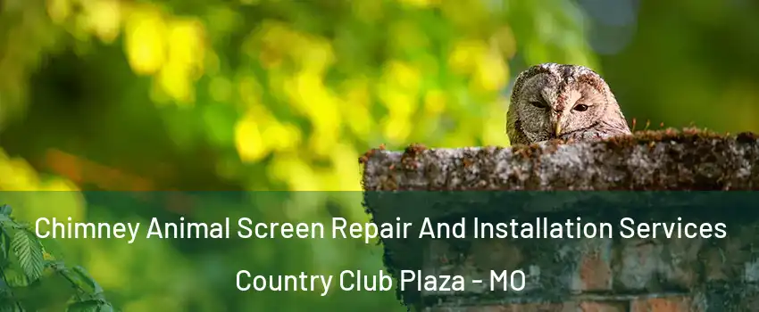 Chimney Animal Screen Repair And Installation Services Country Club Plaza - MO