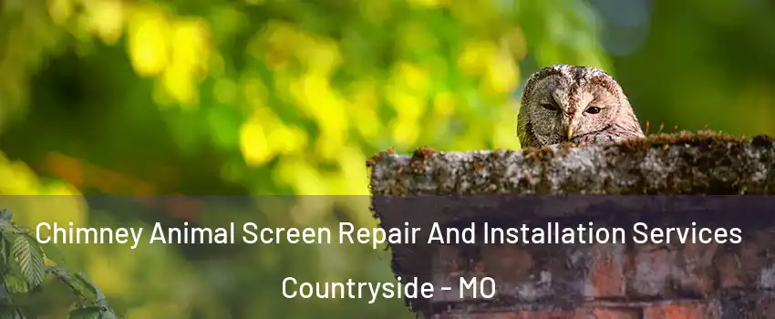 Chimney Animal Screen Repair And Installation Services Countryside - MO