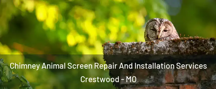 Chimney Animal Screen Repair And Installation Services Crestwood - MO