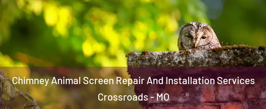 Chimney Animal Screen Repair And Installation Services Crossroads - MO