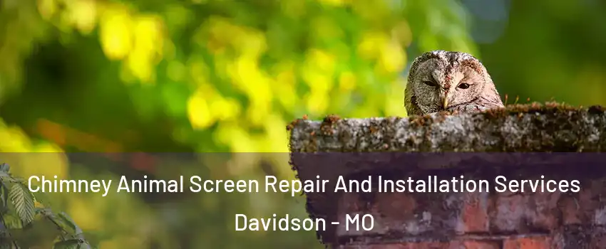 Chimney Animal Screen Repair And Installation Services Davidson - MO