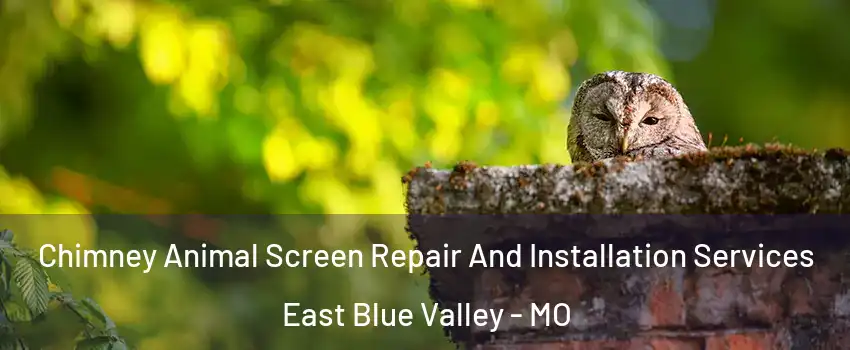 Chimney Animal Screen Repair And Installation Services East Blue Valley - MO